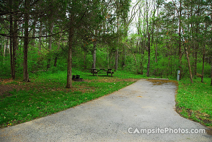 Gifford Pinchot State Park 288