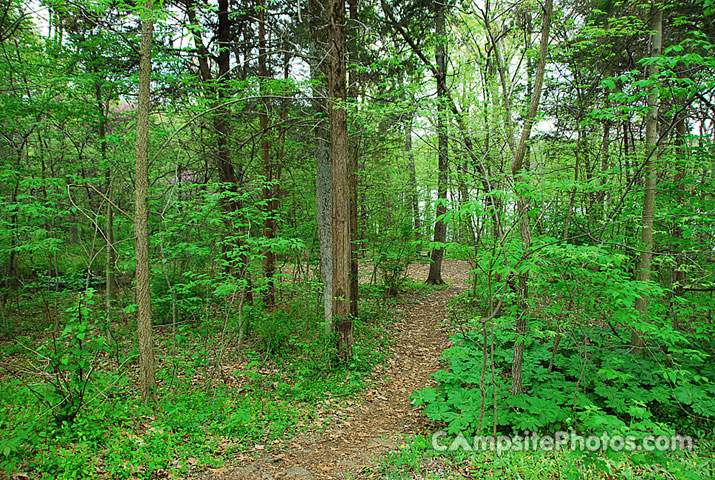 Gifford Pinchot State Park 334