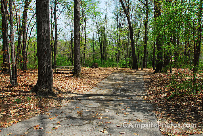 Codorus State Park 118