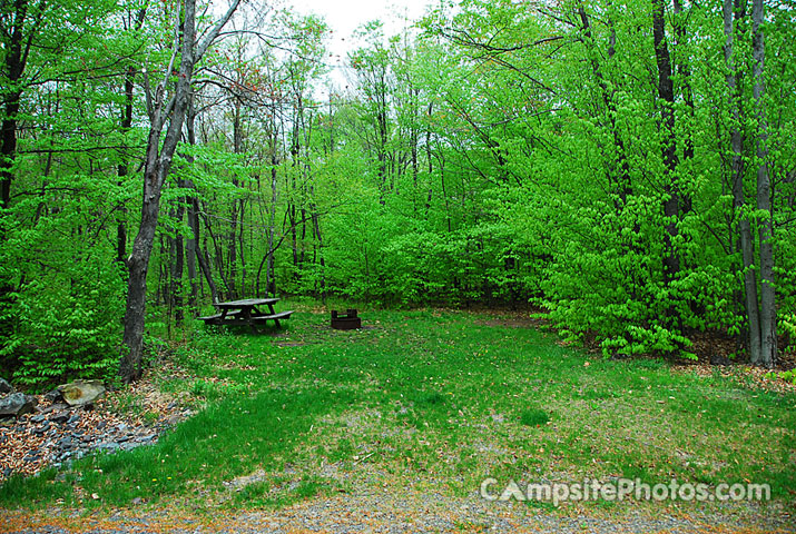 Tobyhanna State Park 007