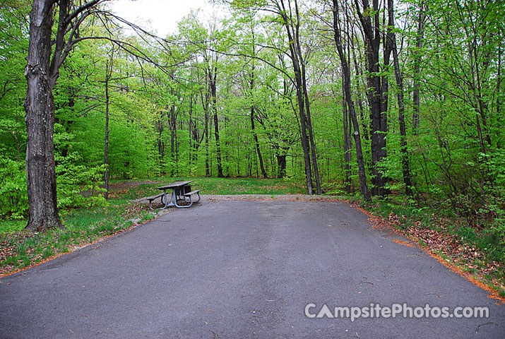 Tobyhanna State Park 015