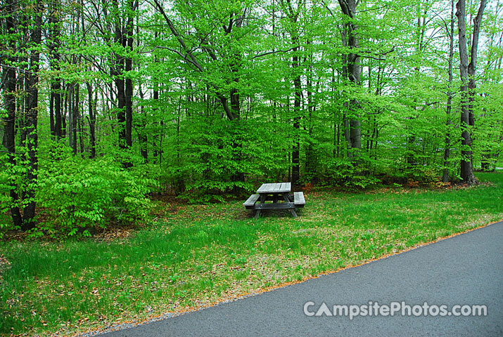 Tobyhanna State Park 028