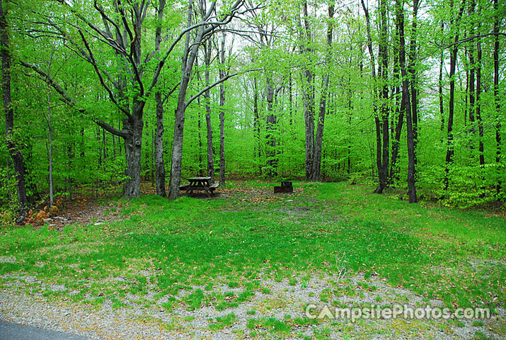 Tobyhanna State Park 035