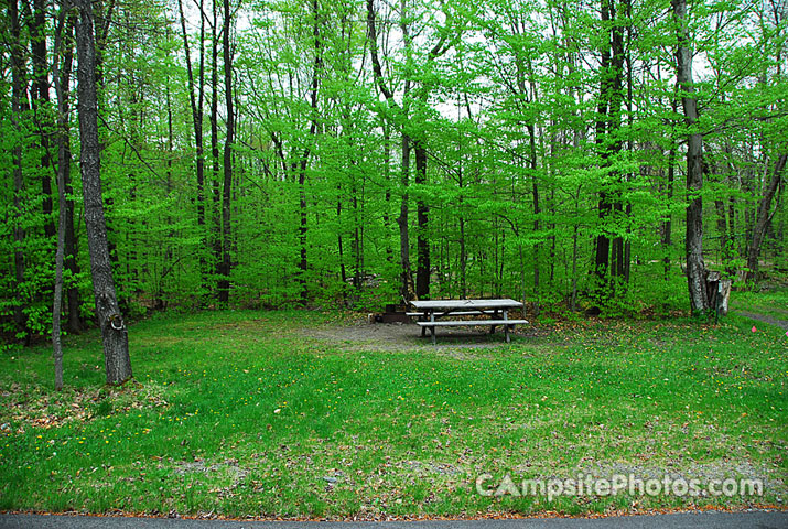 Tobyhanna State Park 044