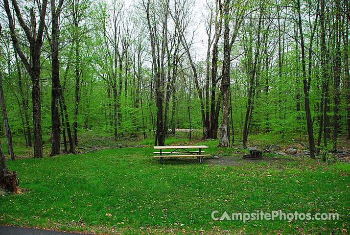 Tobyhanna State Park 048