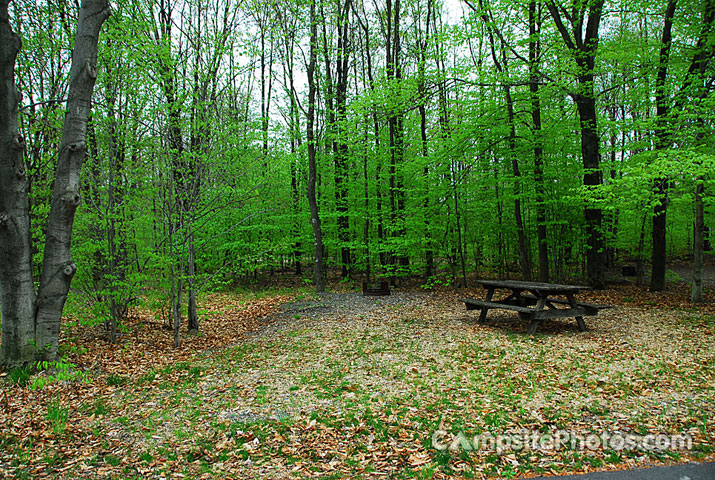 Tobyhanna State Park 052