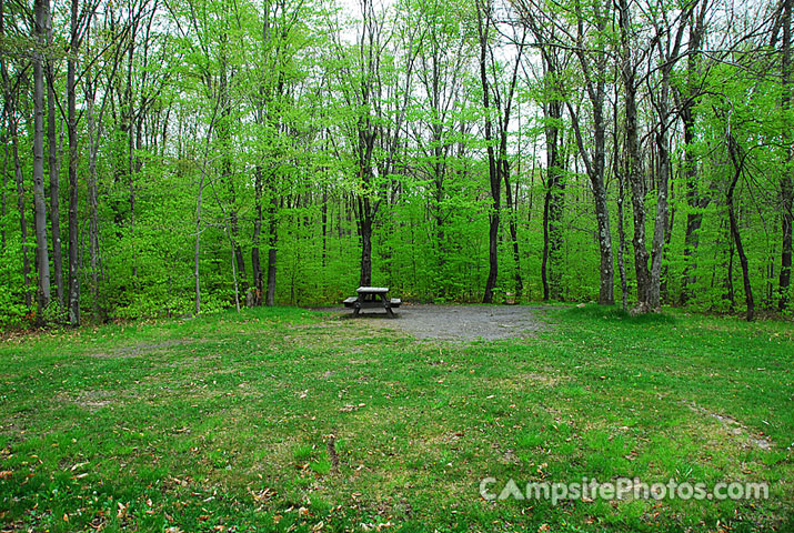 Tobyhanna State Park 056