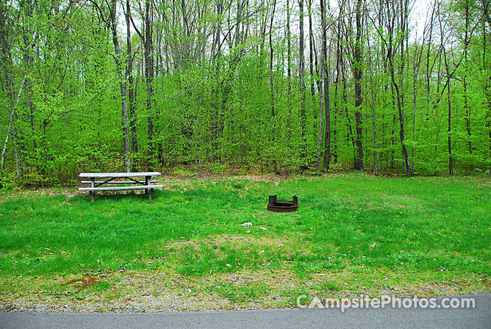 Tobyhanna State Park 060