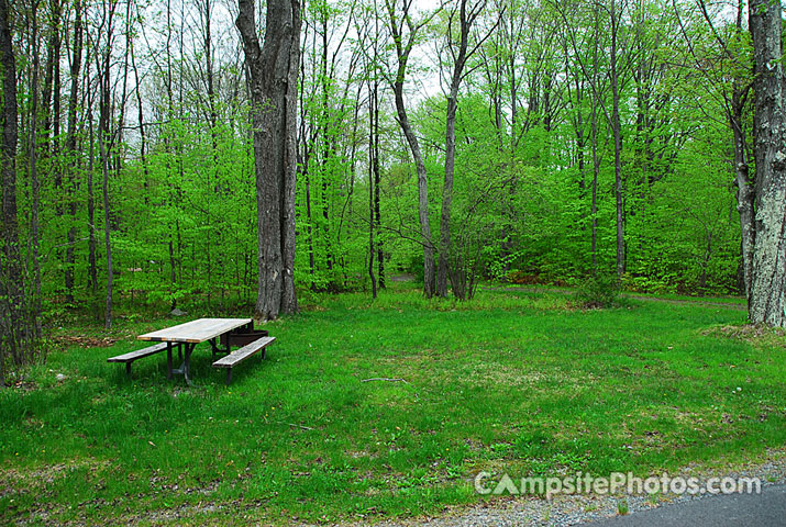 Tobyhanna State Park 062