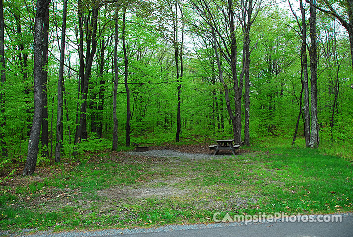 Tobyhanna State Park 063