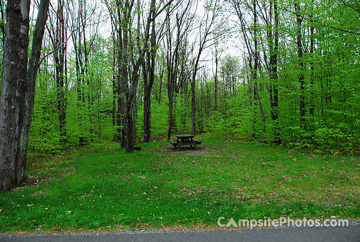 Tobyhanna State Park 065