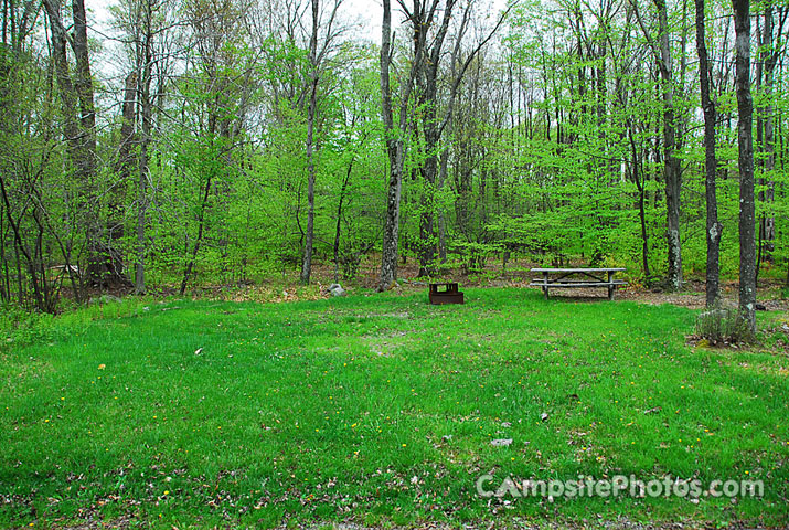 Tobyhanna State Park 080