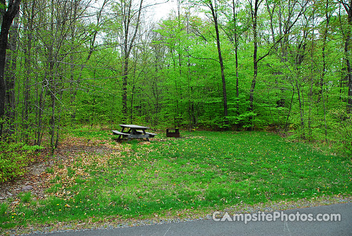 Tobyhanna State Park 088