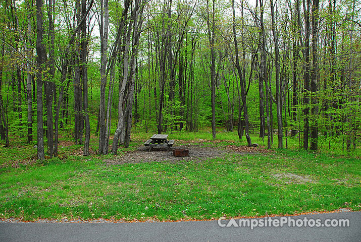 Tobyhanna State Park 096