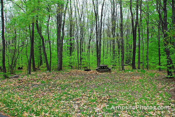 Tobyhanna State Park 135