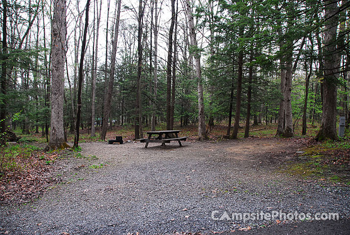 Locust Lake State Park 076