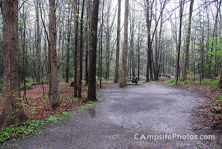 Locust Lake State Park 175