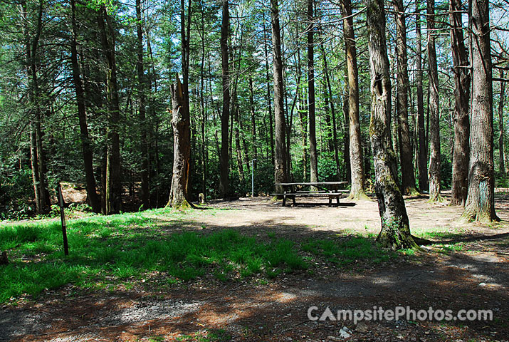 Hickory Run State Park 009