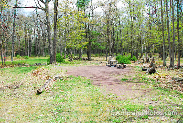 Hickory Run State Park 306