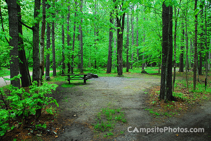 Sebago Lake State Park 048