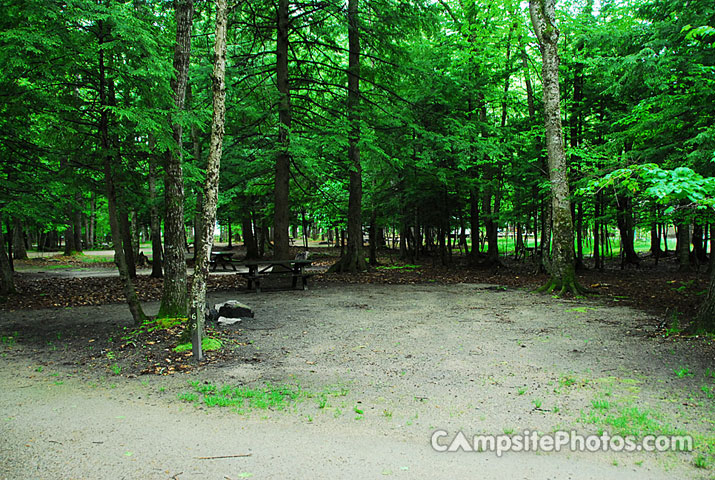 Sebago Lake State Park 069