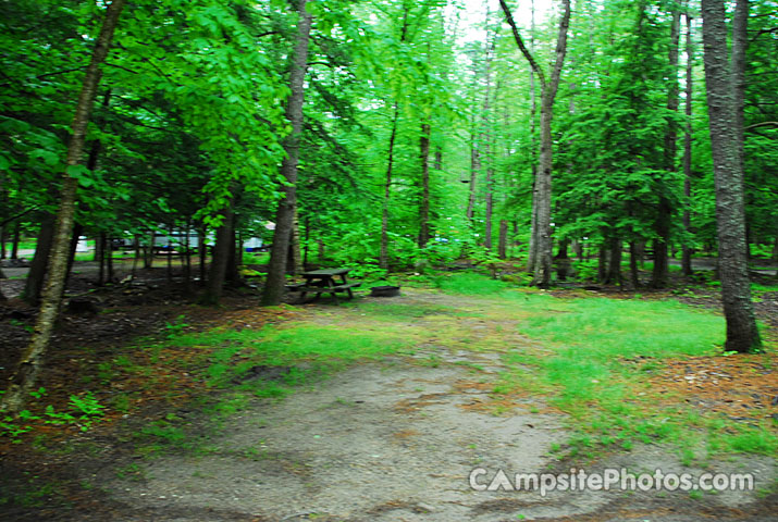 Sebago Lake State Park 075