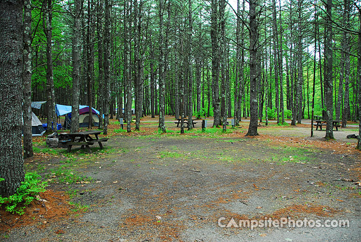 Sebago Lake State Park 135