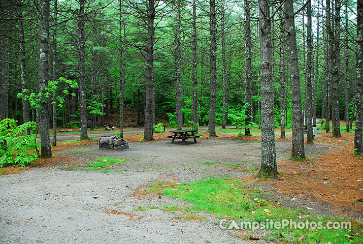 Sebago Lake State Park 137