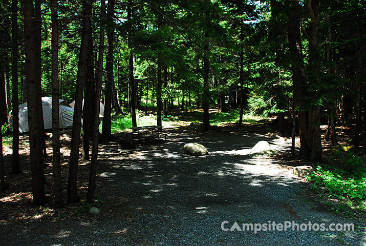 Acadia National Park Blackwoods A013