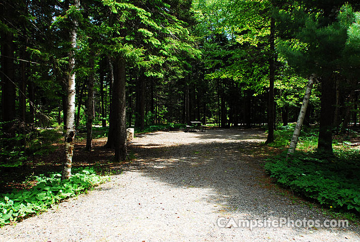 Acadia National Park Blackwoods A035