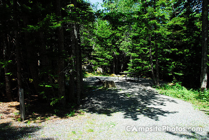 Acadia National Park Blackwoods B055