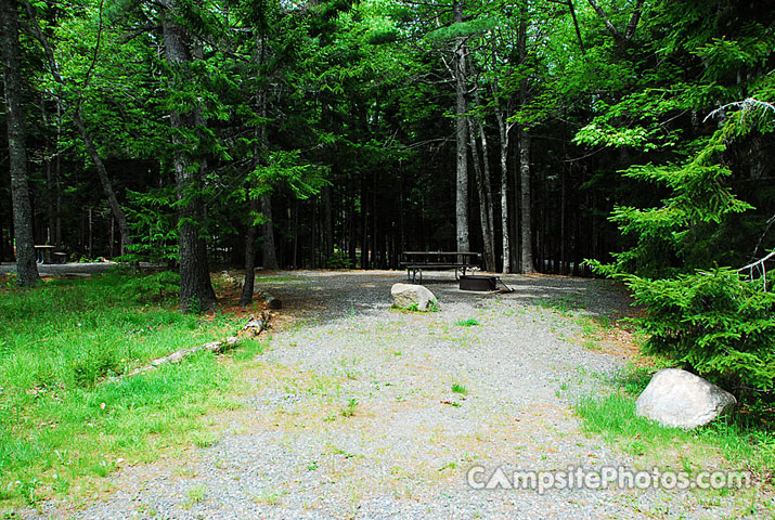 Acadia National Park Blackwoods B063