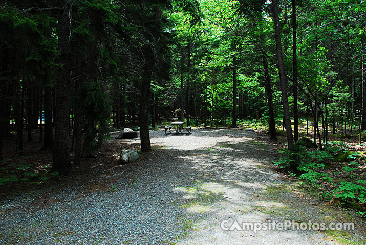 Acadia National Park Blackwoods B095