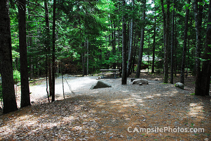 Acadia National Park Blackwoods B115