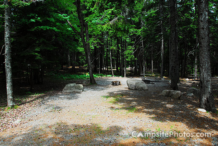 Acadia National Park Blackwoods B116