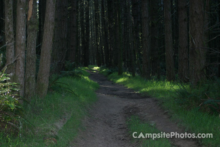 Point Reyes National Seashore Trail