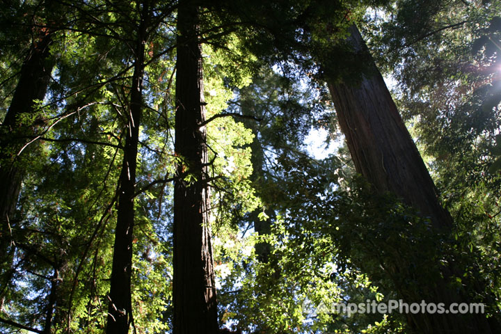 Hendy Woods State Park View 2