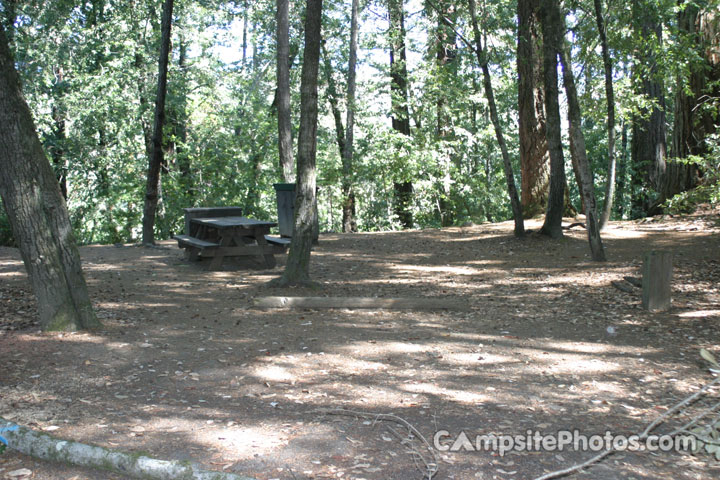 Hendy Woods State Park Wildcat 065