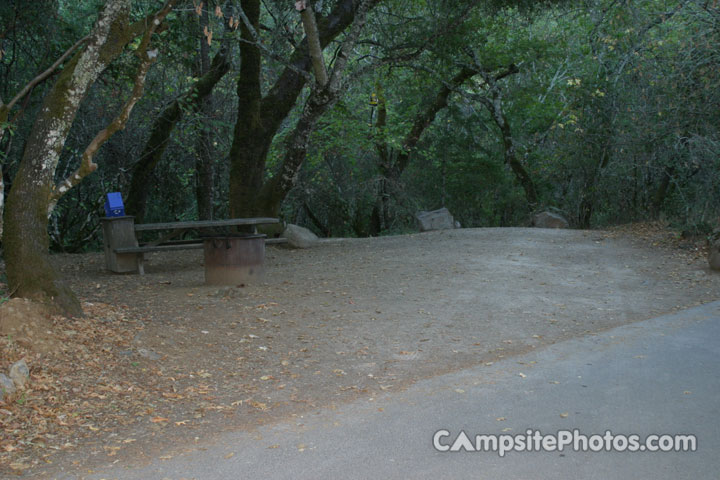 Bothe-Napa Valley State Park 016