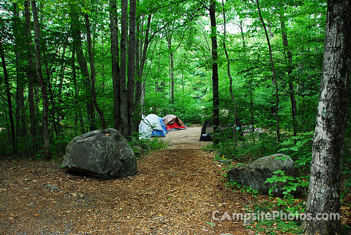 Sacandaga 100