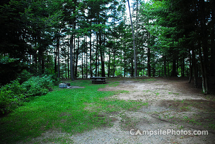 Brown Tract Pond 017