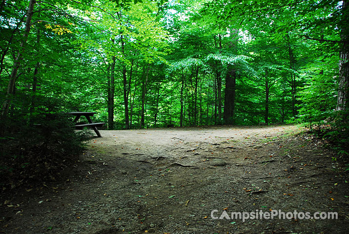 Brown Tract Pond 079