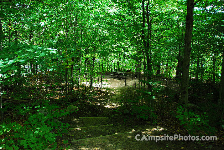 Brown Tract Pond 082