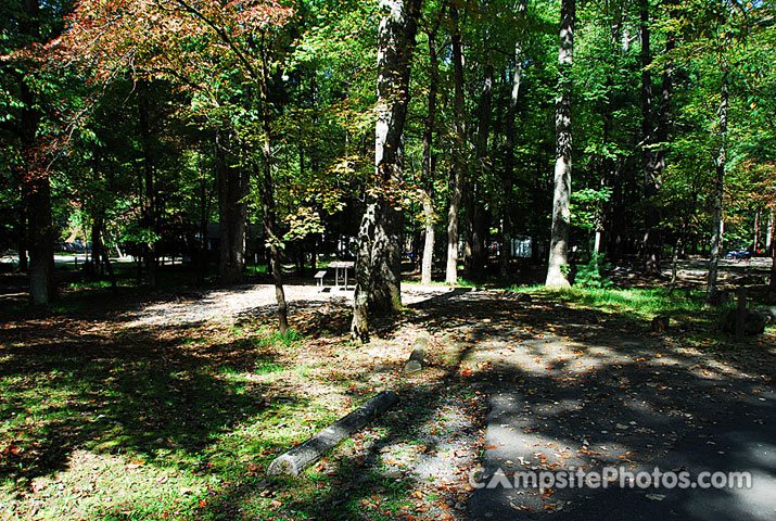 Cades Cove B034