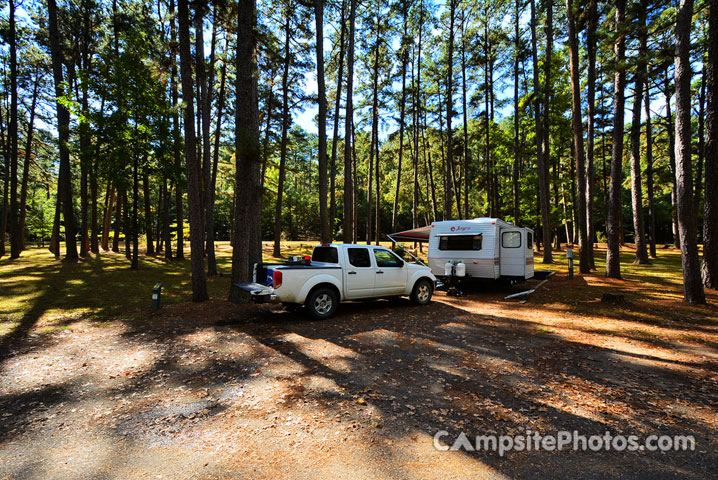 Lake Dardanelle State Park 083