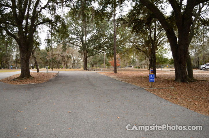 Reed Bingham State Park 022