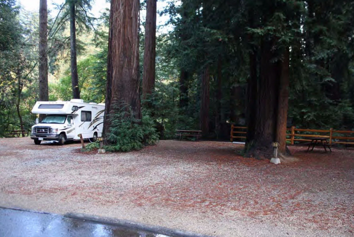 Santa Cruz Redwoods RV Resort - Campsite Photos